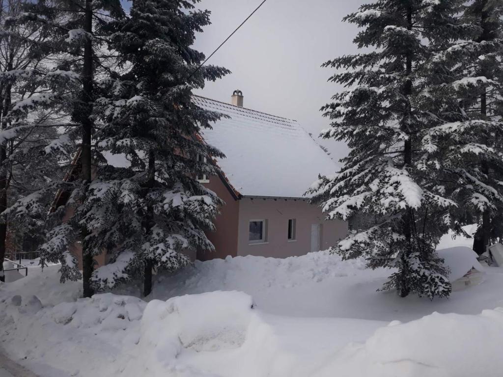 Vila Ljuti krš v zimě