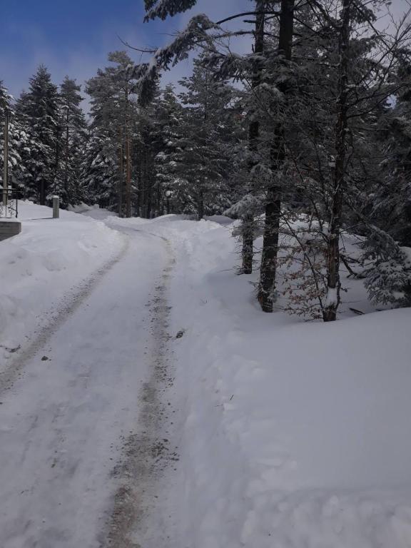 Vila Ljuti krš v zimě