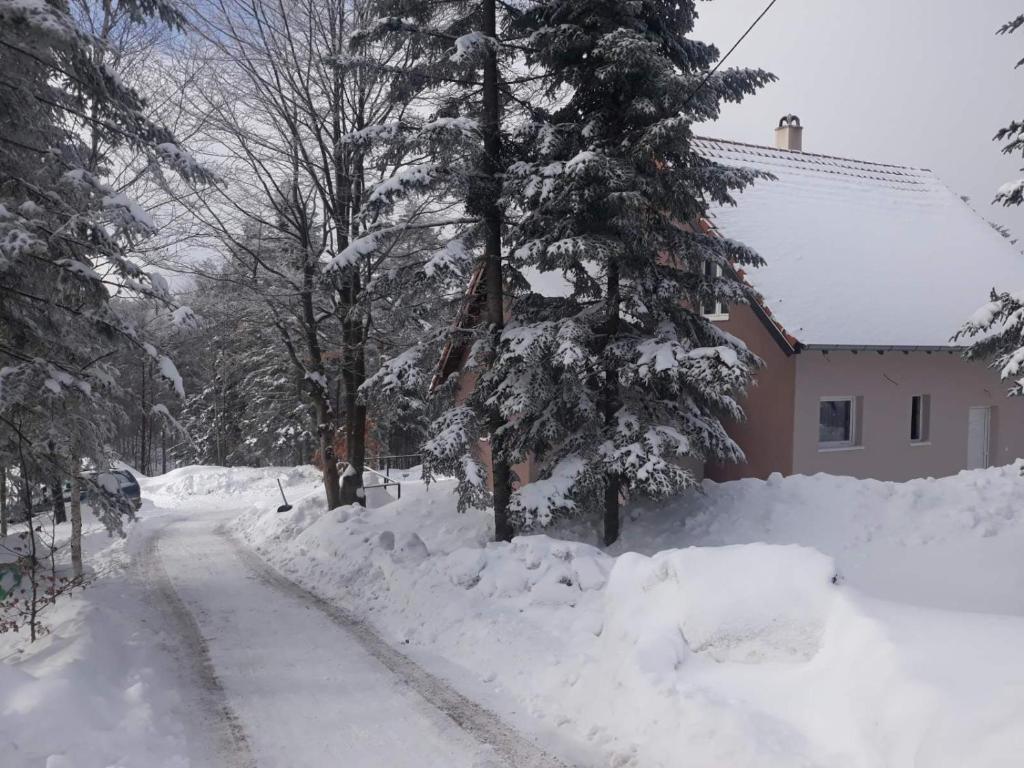 Vila Ljuti krš v zimě