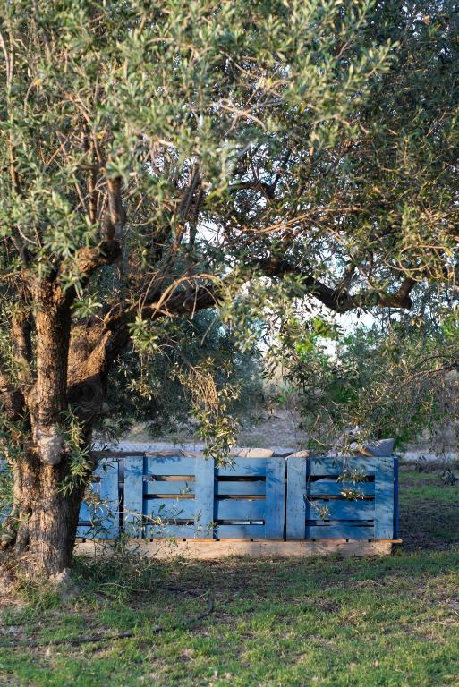 Zahrada ubytování Casa de campo mediterránea en Alicante