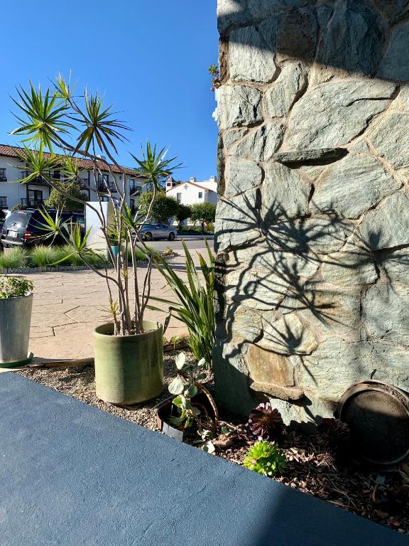 Ein Garten an der Unterkunft Inn at East Beach