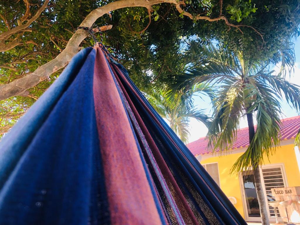 Fotografie z fotogalerie ubytování Bon Bini Kokolishi v destinaci Willemstad
