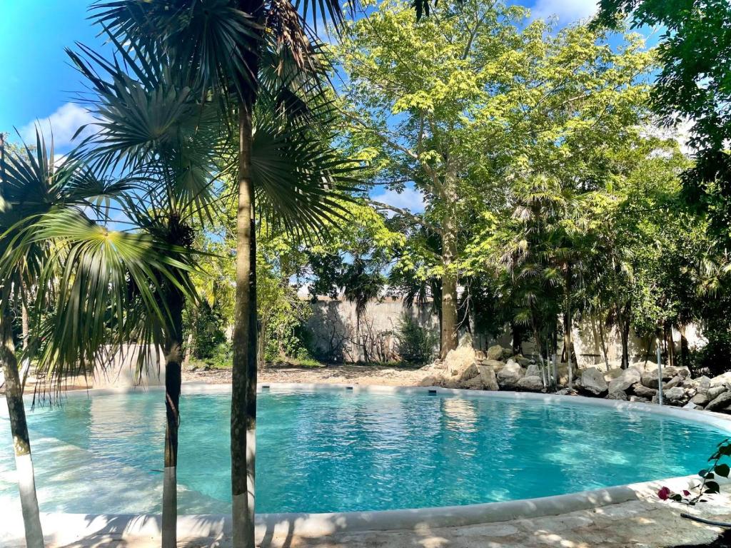 Amazing & Lovely Hotel Incredible Location Swimming Pool, Tequila