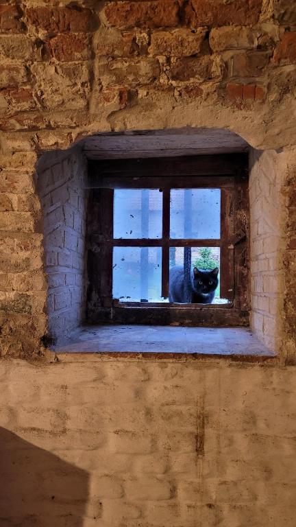 Fotografie z fotogalerie ubytování Hoeve Spyckergoed v destinaci De Haan