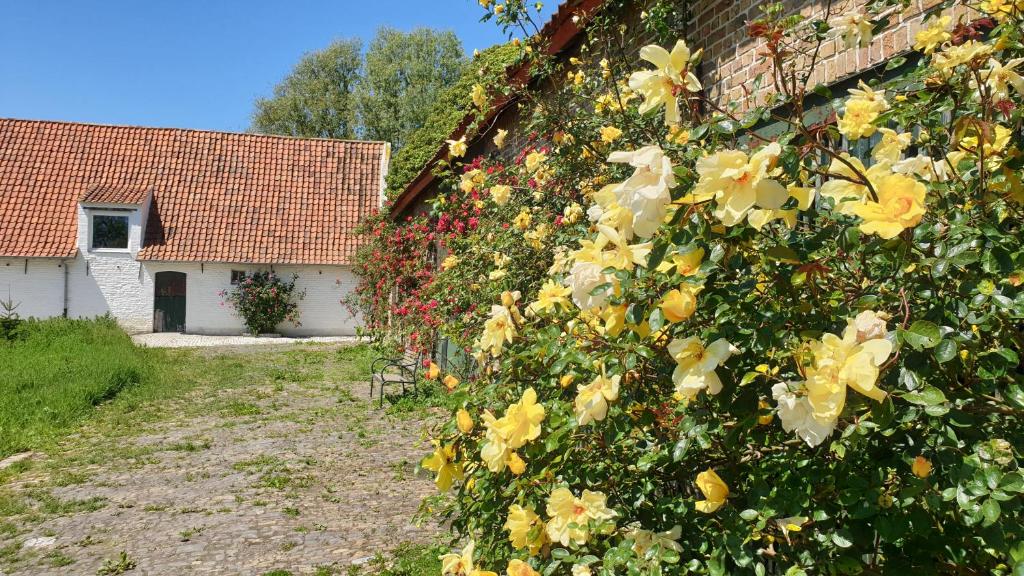 Zahrada ubytování Hoeve Spyckergoed