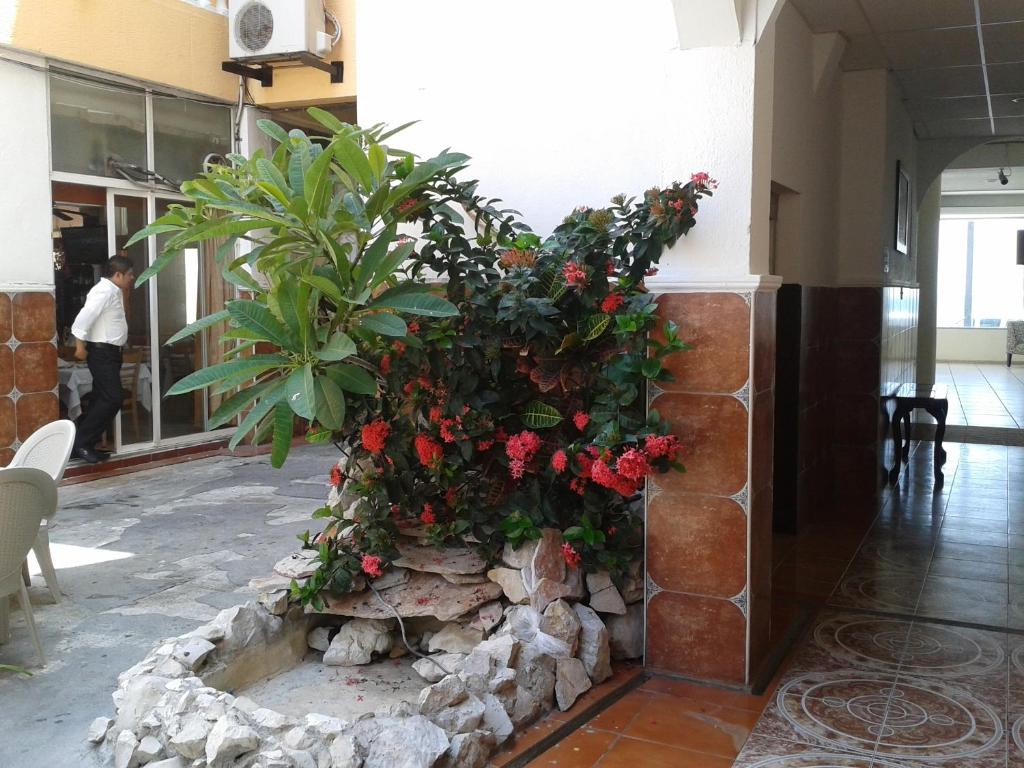 Fotografie z fotogalerie ubytování Hotel Real del Mar v destinaci Veracruz