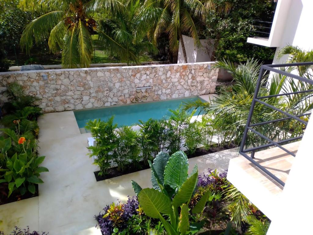 une piscine dans un jardin avec des plantes dans l'établissement Departamento para 4 Personas Sueñitos en Bacalar, à Bacalar