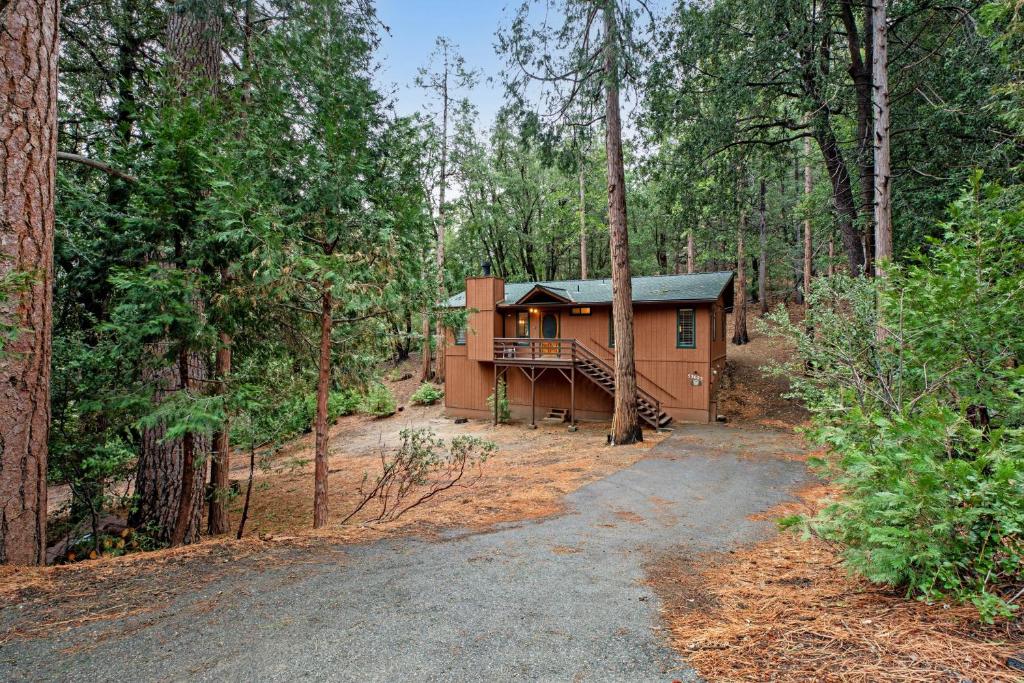 a cabin in the woods with a gravel road at Elk Horn Retreat in Idyllwild