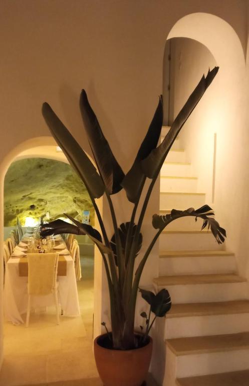 Casa Boutique Encalada - 14