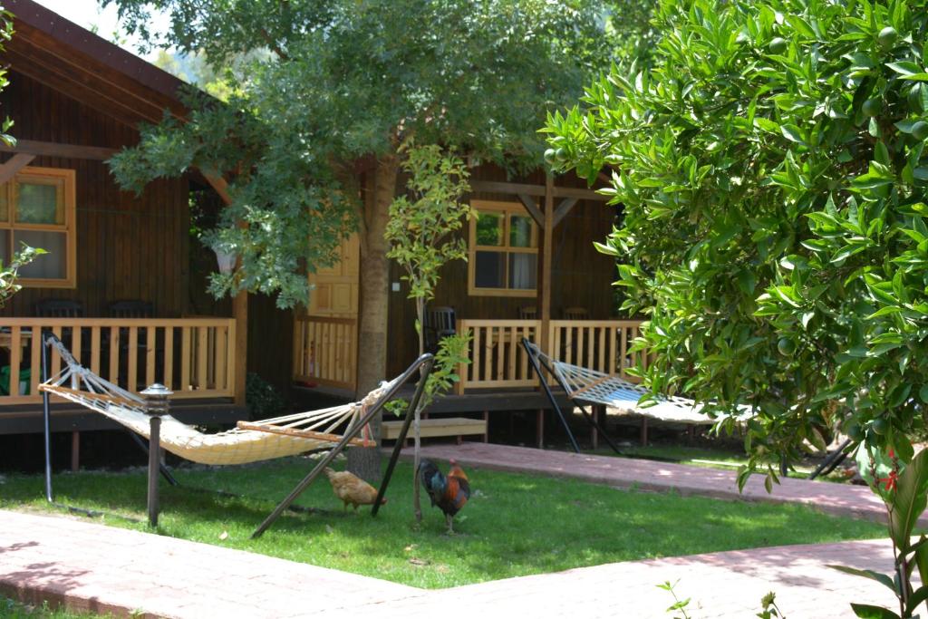 a hammock in front of a house with chickens in the yard at Caretta Caretta Pension in Cıralı
