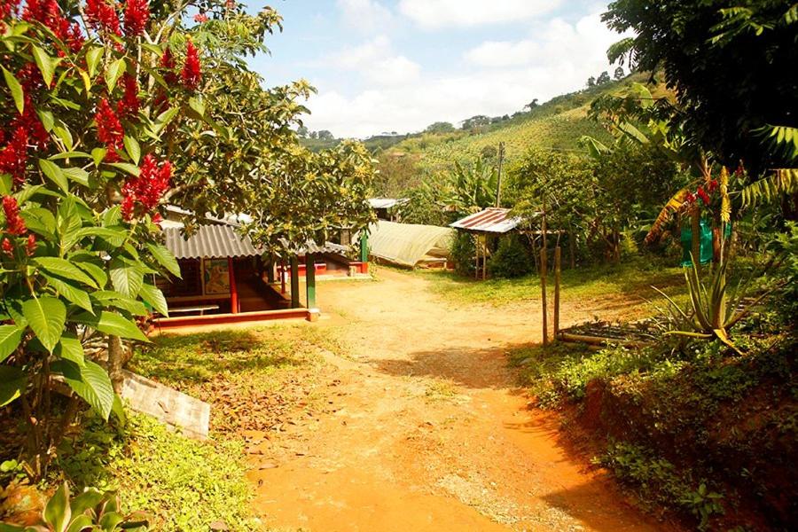 a dirt road in a village with houses and flowers at Alojamiento Rural Café Yarumo in Buenavista