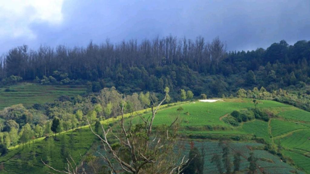 Hidden doors, Ooty Updated 2023 Prices