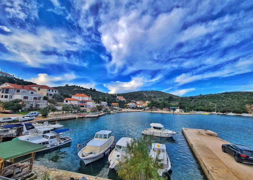 a group of boats are docked in a harbor at Apartment ZAGLAV 1 in Zaglav