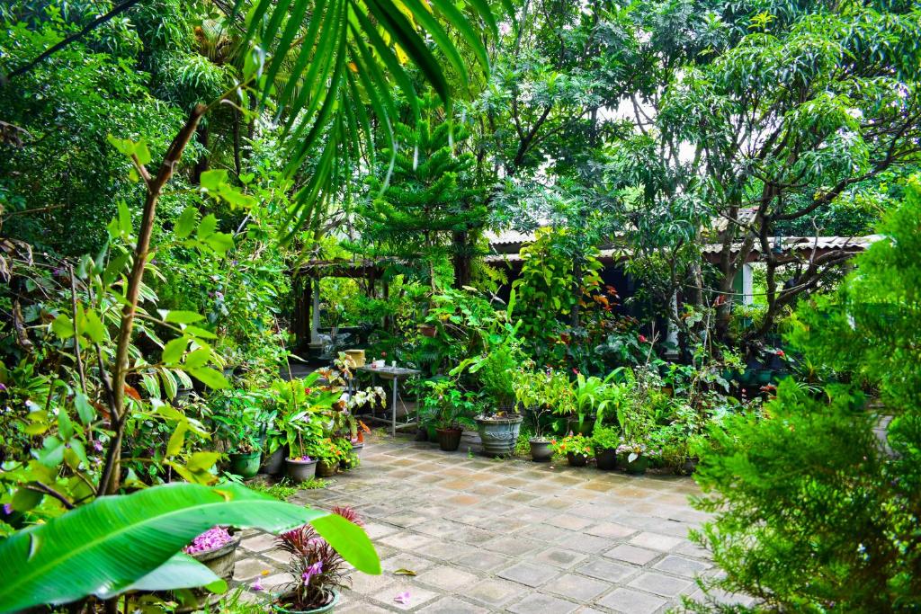 Sigiri Rock Side Home Stay - 17