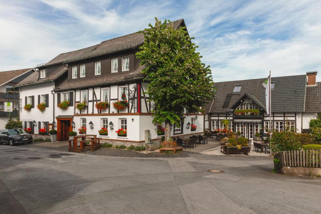 um grande edifício branco com uma árvore em frente em Landhotel Gasthof Willecke em Sundern