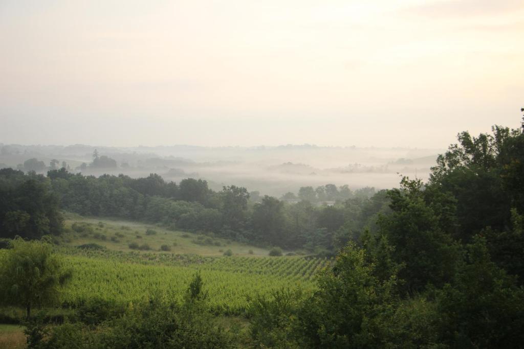 Suitetrails - Le Cosy-vergerentre2mers