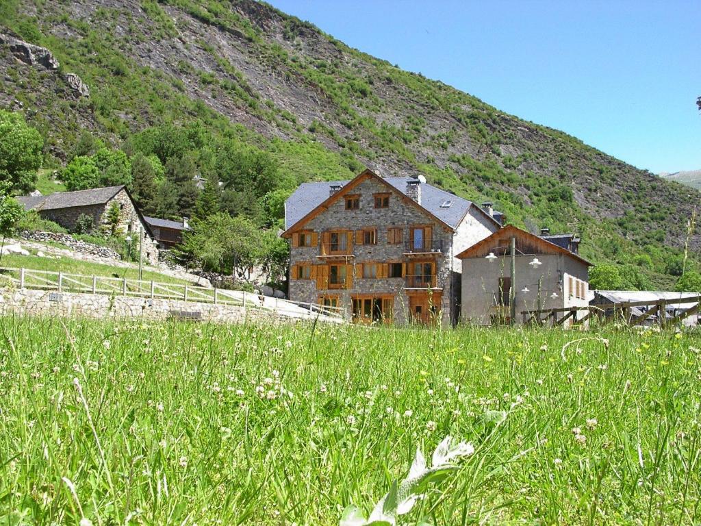 un antiguo edificio en un campo de hierba verde alta en Apartaments El Tarter en Erill la Vall