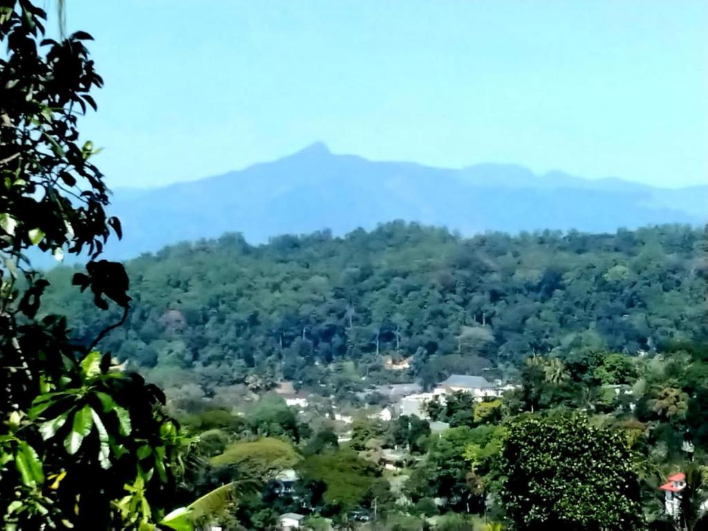 une vue sur une zone boisée avec une montagne en arrière-plan dans l'établissement Jily Stay, à Kandy