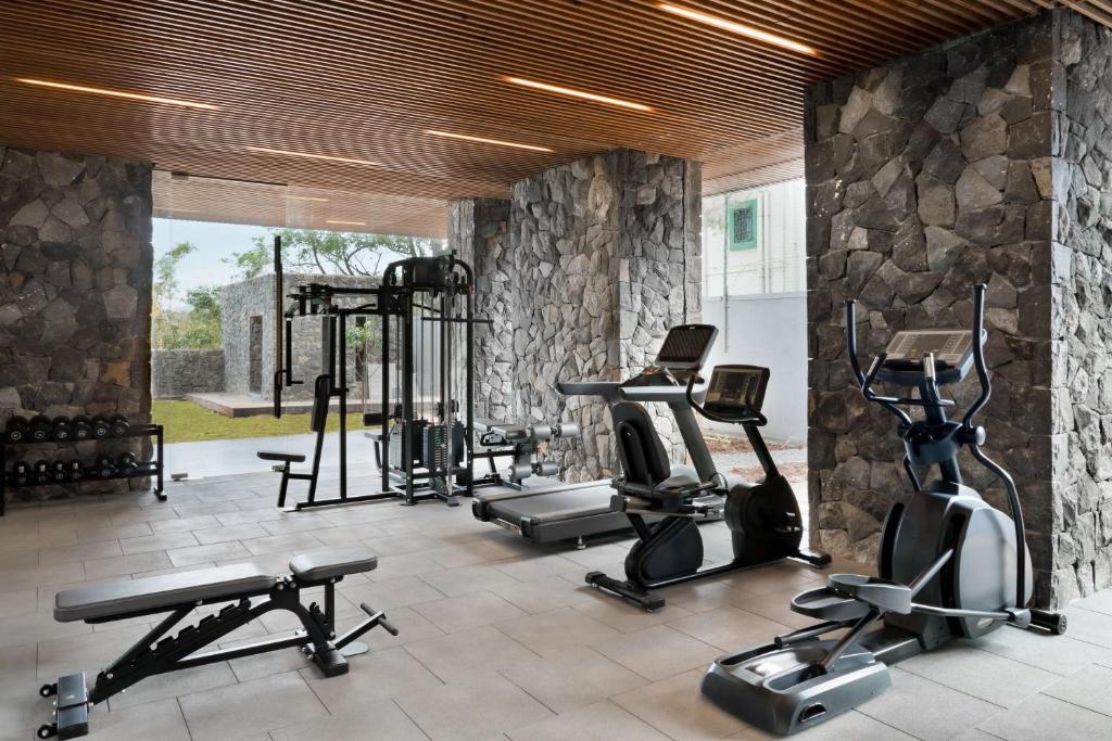 Fitness centrum a/nebo fitness zařízení v ubytování Radisson Resort and Spa Lonavala