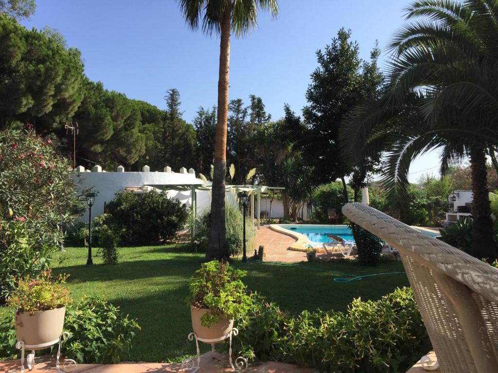 vistas a un patio con piscina y palmeras en Finca Filpi en Chiclana de la Frontera