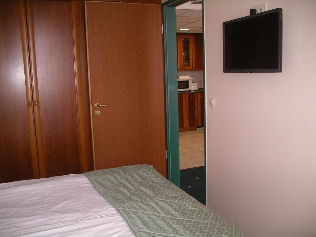 TV a/nebo společenská místnost v ubytování Palast Wellness Appartement