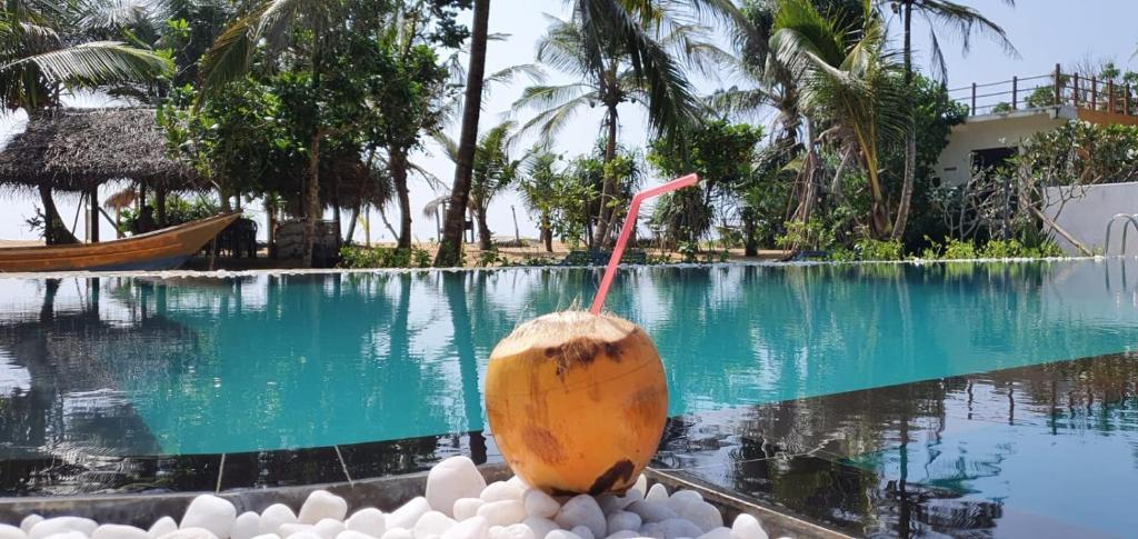 a coconut cut in half sitting next to a swimming pool at Dreamvillage in Dodanduwa