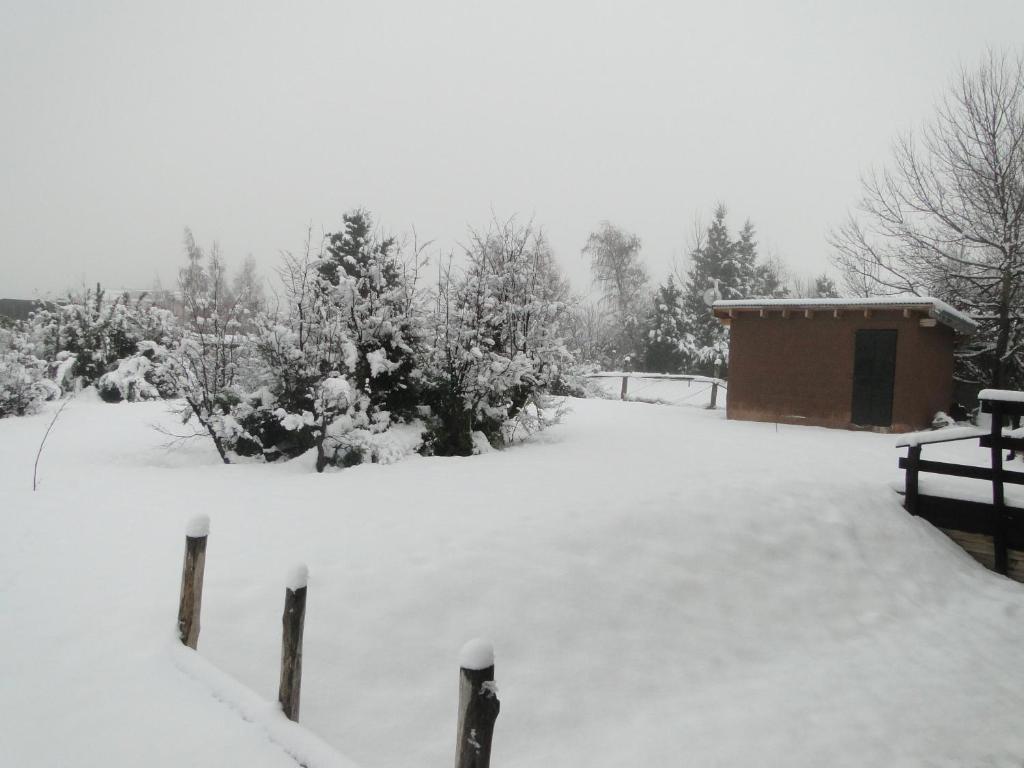 a snow covered yard with a shed and trees at Verde y Nieve in San Carlos de Bariloche