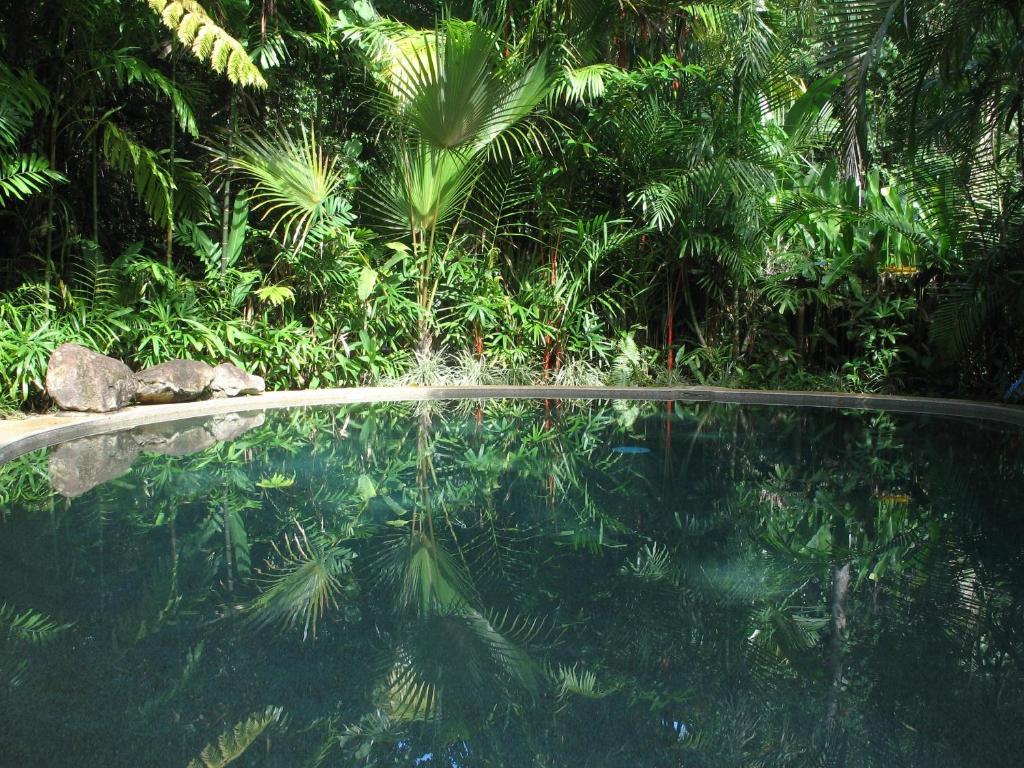 a pool of water in front of some plants at Daintree Rainforest Retreat Motel in Cape Tribulation