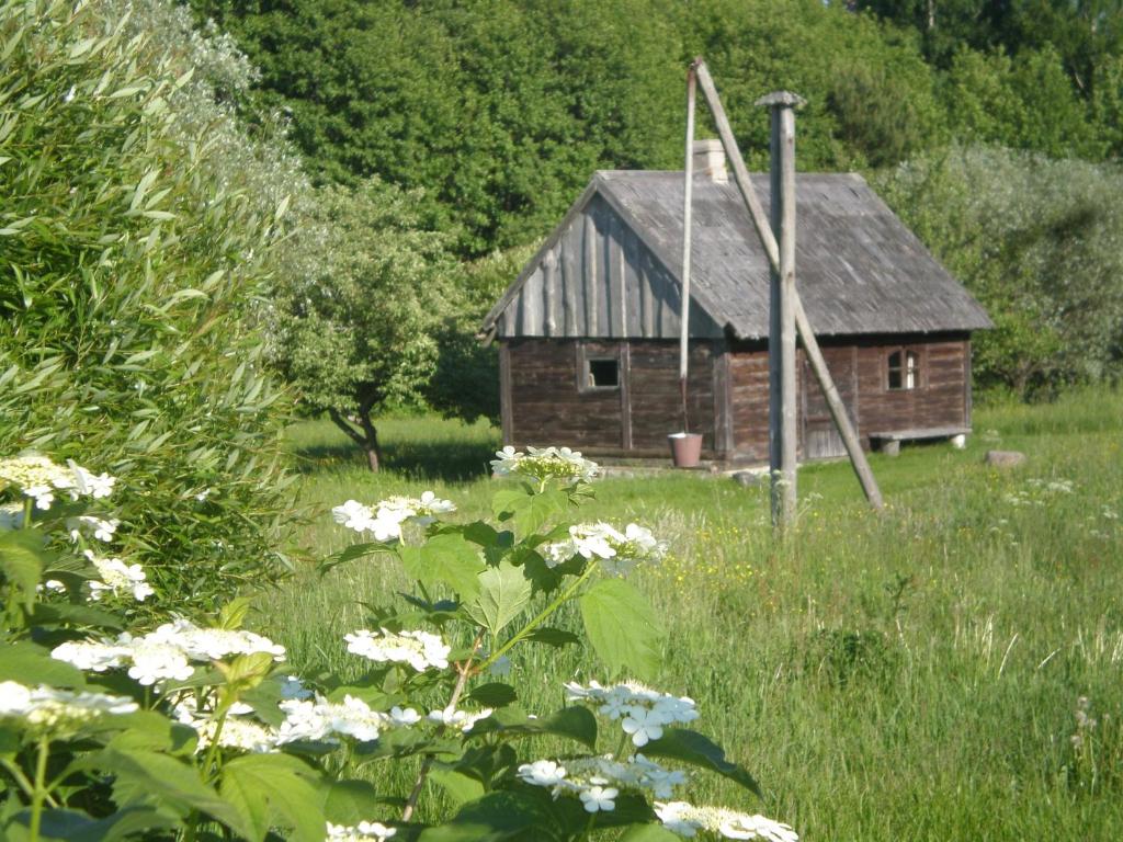 an old barn in the middle of a field with flowers at Lūķi, Lauku sēta in Jūrkalne