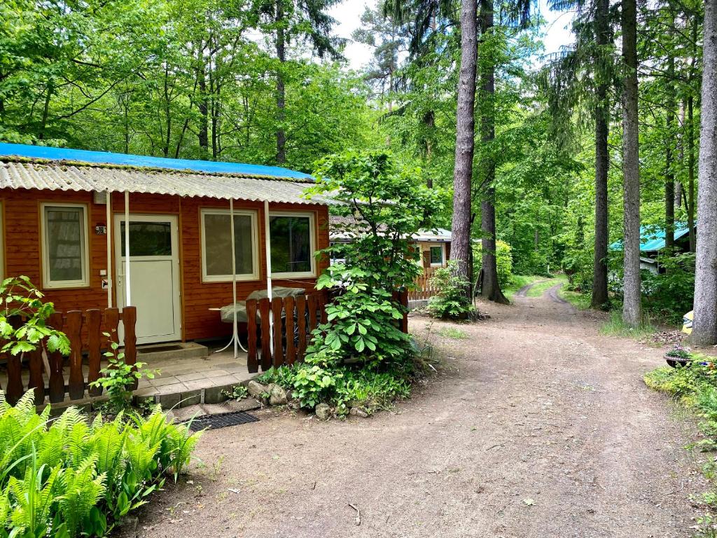 a small cabin in the woods with a dirt road at Ferienbungalow auf FKK Waldcampingplatz am See 