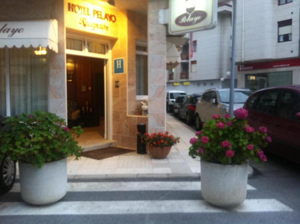 two large pots of flowers on a city street at H Pelayo Auto Check-In Rooms in Noja