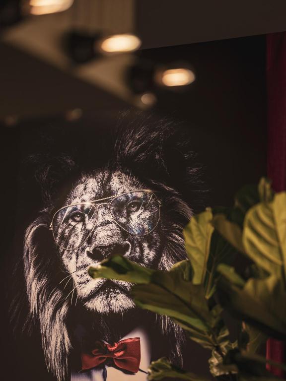 Dandy Hotel & Kitchen - Resim 28