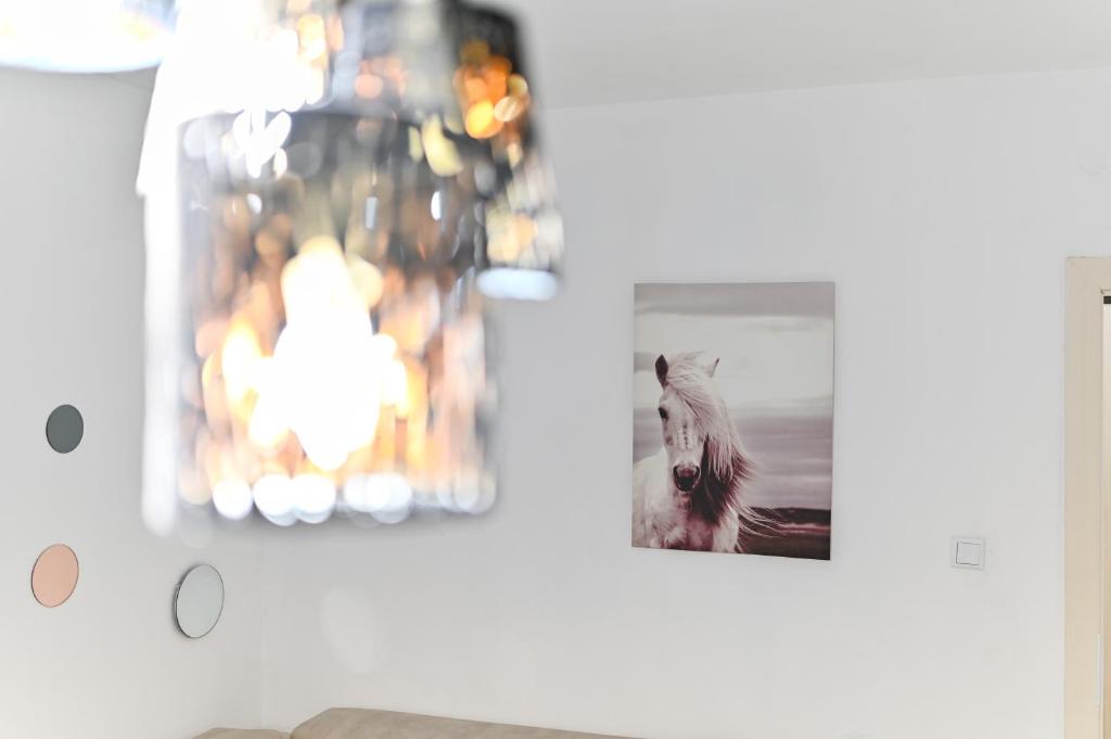 Fotografia z galérie ubytovania Apartment DS v destinácii Zadar