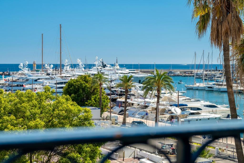 カンヌにあるCroisette Luxury Waterfront across the seaの水上の船とヤシの木のマリーナ