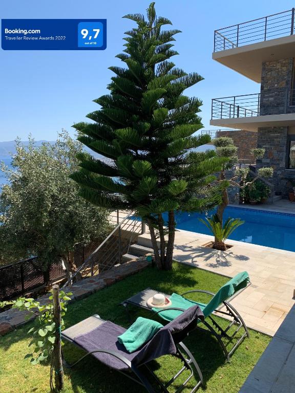 a palm tree next to a chair and a table at Villa Muse in Agios Nikolaos