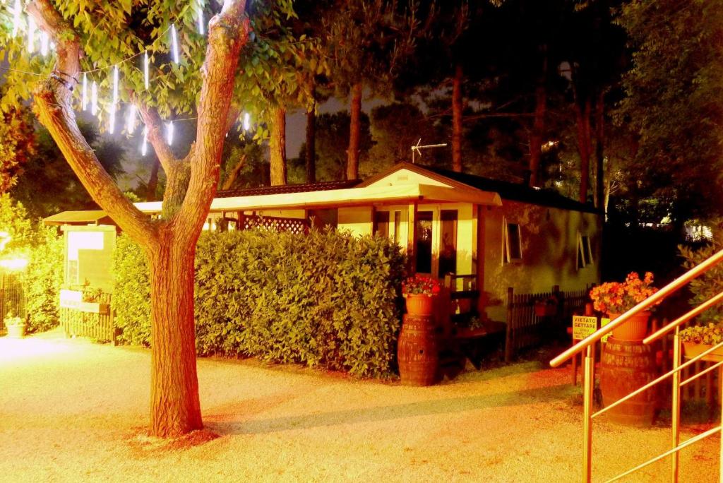 Zahrada ubytování Tobacco Road camping Sirolo