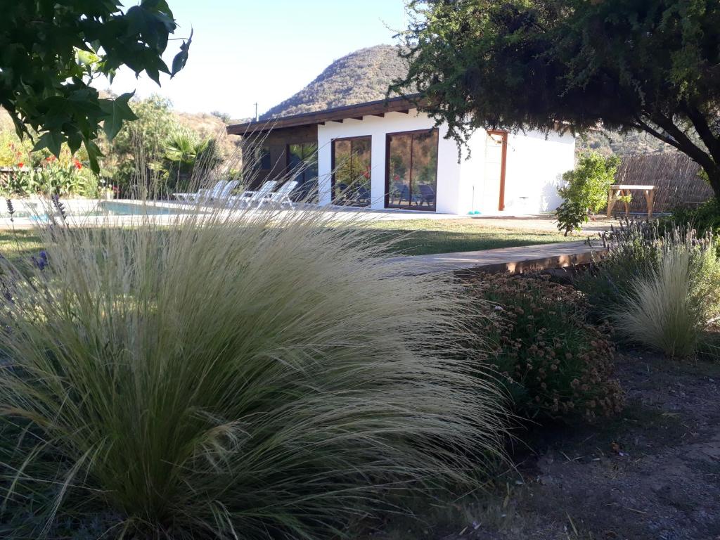 a garden with tall grass in front of a house at Callihue Lodge in Santa Cruz