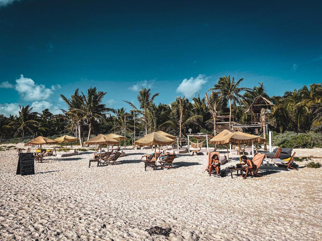 a beach with chairs and umbrellas and palm trees at Orchid Beach House Adults Only in Tulum