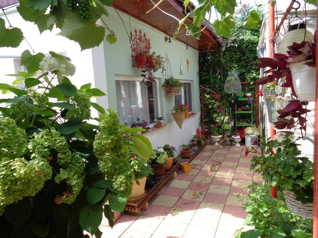 un patio de una casa con macetas en Casa Munteanu, en Eforie Nord