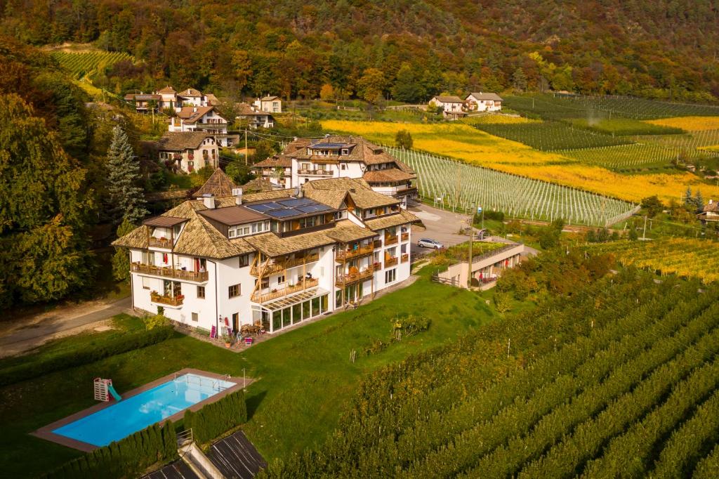 eine Luftansicht eines großen Hauses auf einem Weinberg in der Unterkunft Steinegger in Appiano sulla Strada del Vino