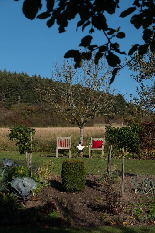 Zahrada ubytování Gästehaus Heintz
