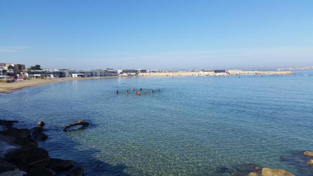 eine Gruppe von Menschen im Wasser an einem Strand in der Unterkunft TIBOU PLAGE in Marseille