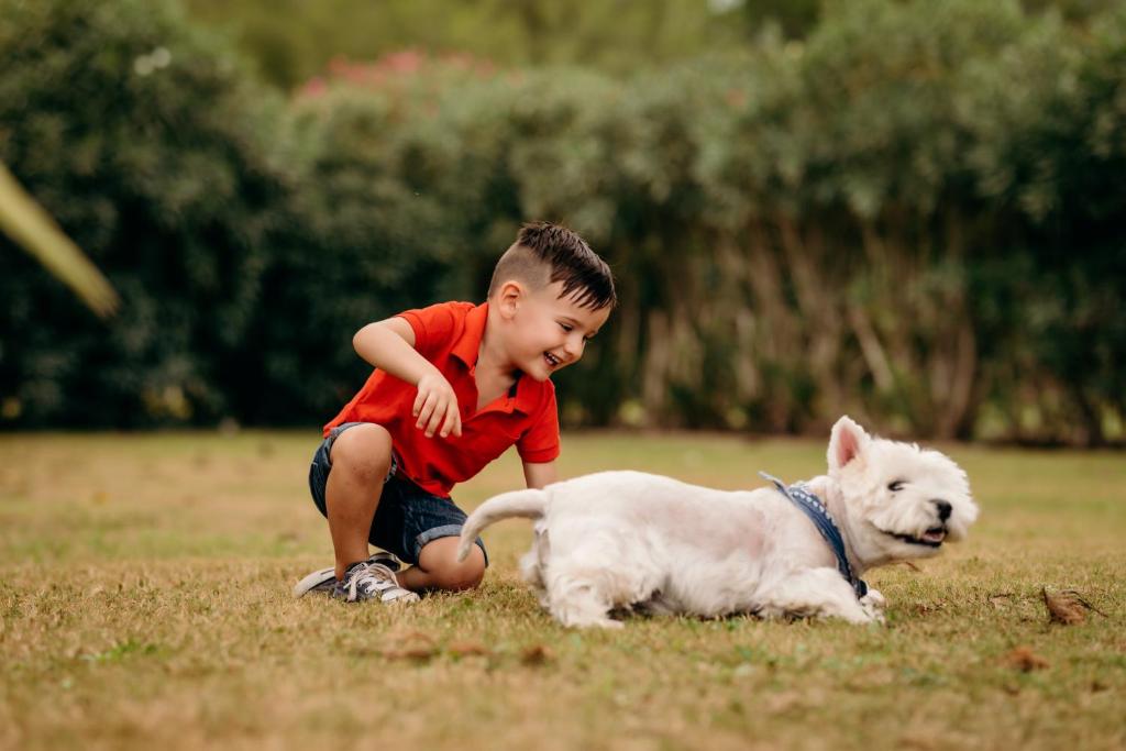 Domácí mazlíčci ubytovaní s hosty v ubytování Agroturismo Can Guillem