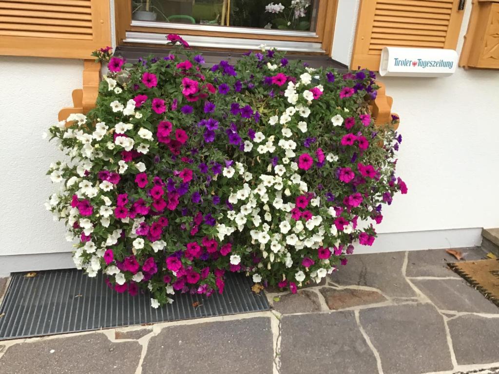Zahrada ubytování Gästehaus Wanker