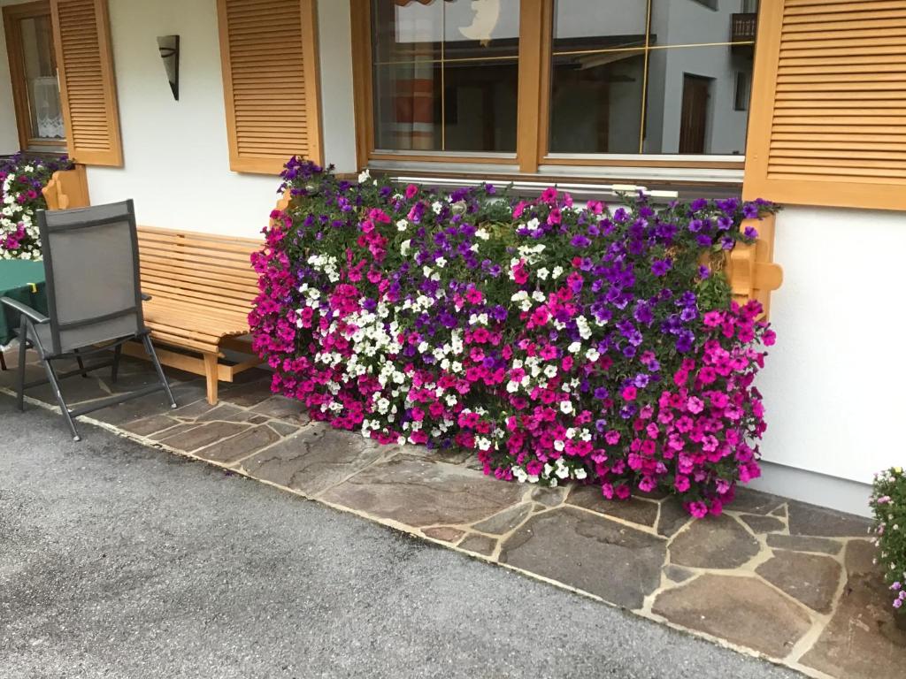 Zahrada ubytování Gästehaus Wanker