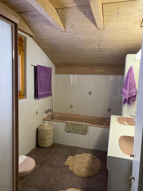 Koupelna v ubytování Haus Wiggis