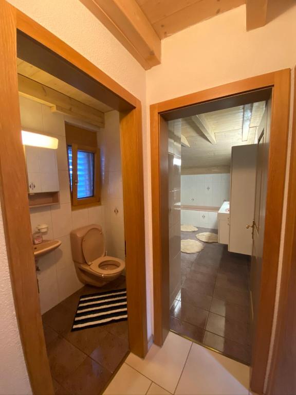 Koupelna v ubytování Haus Wiggis