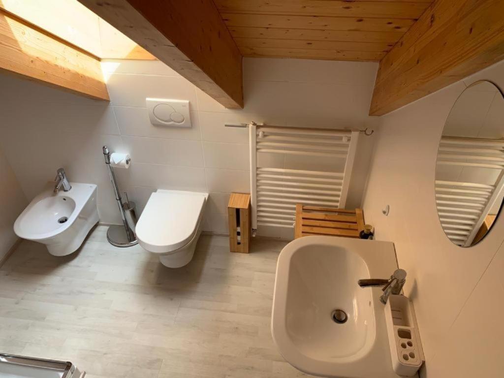 La salle de bains est pourvue de toilettes et d'un lavabo. dans l'établissement Casa Vista Monte Rosa, à Toceno