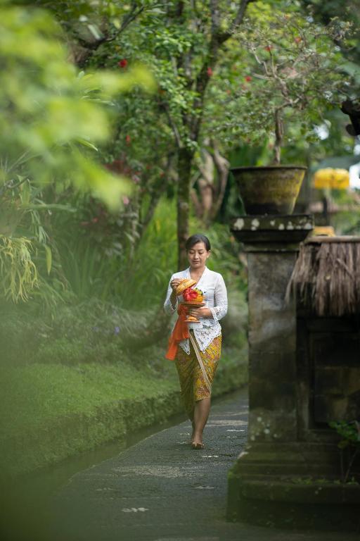 Hosté ubytování Alam Jiwa Ubud