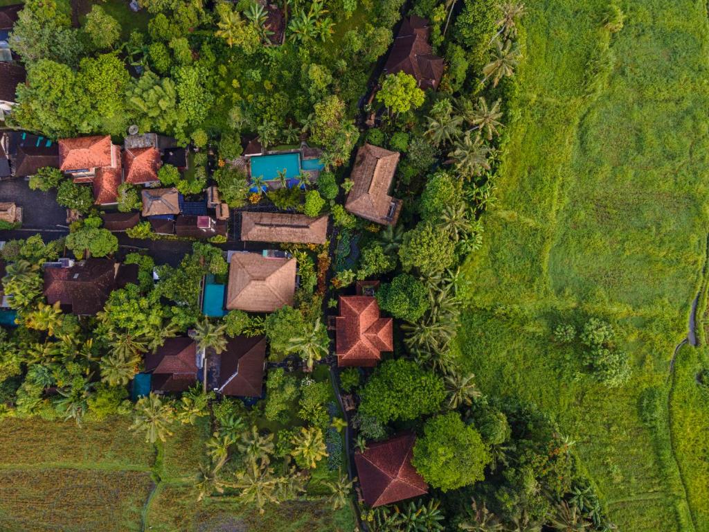 Letecký snímek ubytování Alam Jiwa Ubud